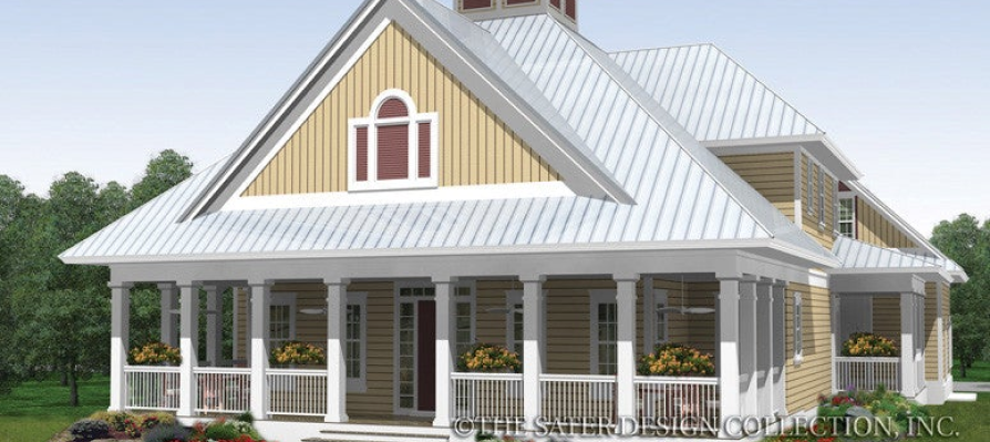 News Sater Design Collection