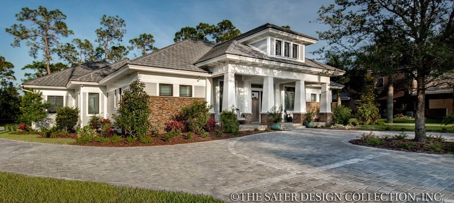 News Sater Design Collection