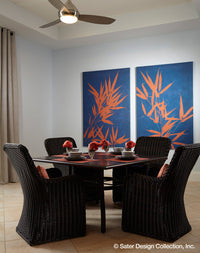 Carlton House Plan Sater Design