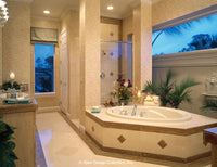 Isabel House Plan Sater Design